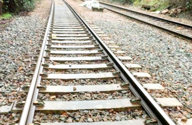 बीमा कंपनी से 24 करोड़ रुपए पाने के लालच में शख्स ने ट्रेन के सामने कूदकर कटवा लिए अपने पर